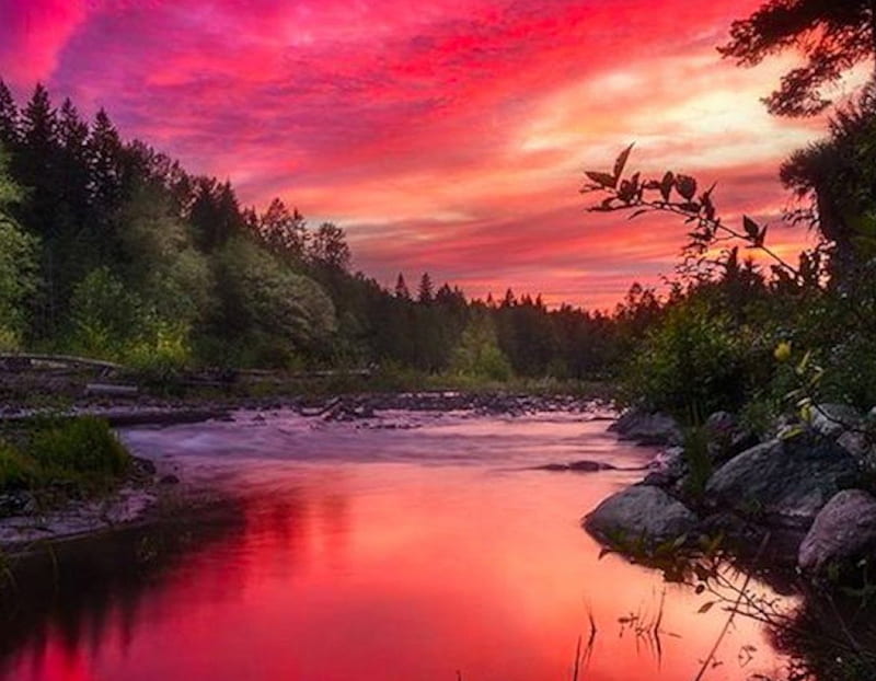 Garnet Glow on the Sandy River, forest, glow, sunset, trees, clouds, sandy, nature, river, reflection, HD wallpaper
