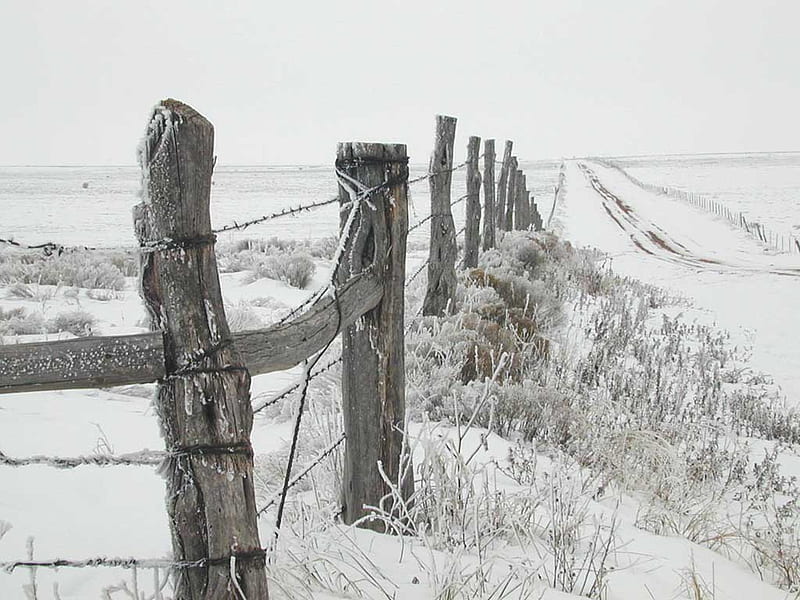 Texas Panhandle Winter, fence, texas, snow, nature, winter, HD wallpaper
