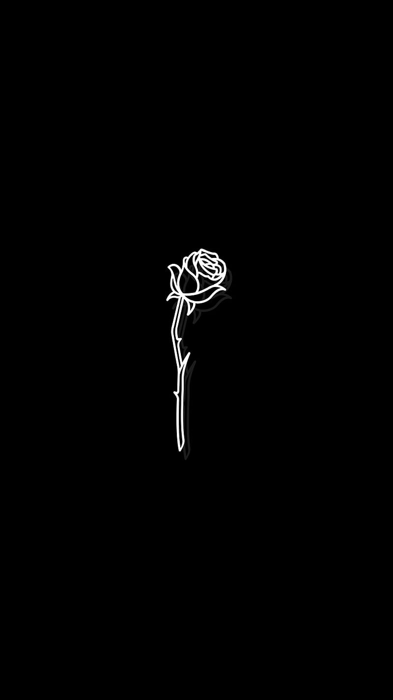 Black Rose, black, bush, cool, flower, girly, rose, simple, stem, white, HD phone wallpaper