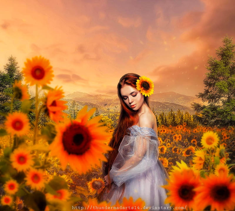 Campo de girasoles, bonito, arte, fantasía, niña, girasoles, digital,  mujer, Fondo de pantalla HD | Peakpx