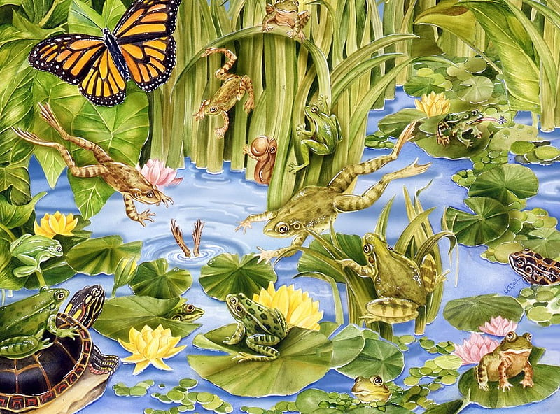 FROG PRINT, frog, turtles, print, butterflies, HD wallpaper
