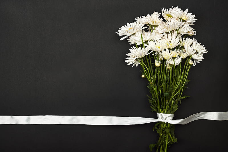 bouquet, flowers, white, ribbon, HD wallpaper