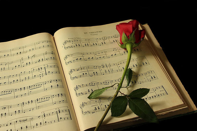 Still life, pretty, rose, notes, book, music notes, bonito, red rose, graphy, nice, love, beauty, harmony, amazing lovely, romantic, romance, music, delicate, elegantly, cool, black background, flower, great, HD wallpaper