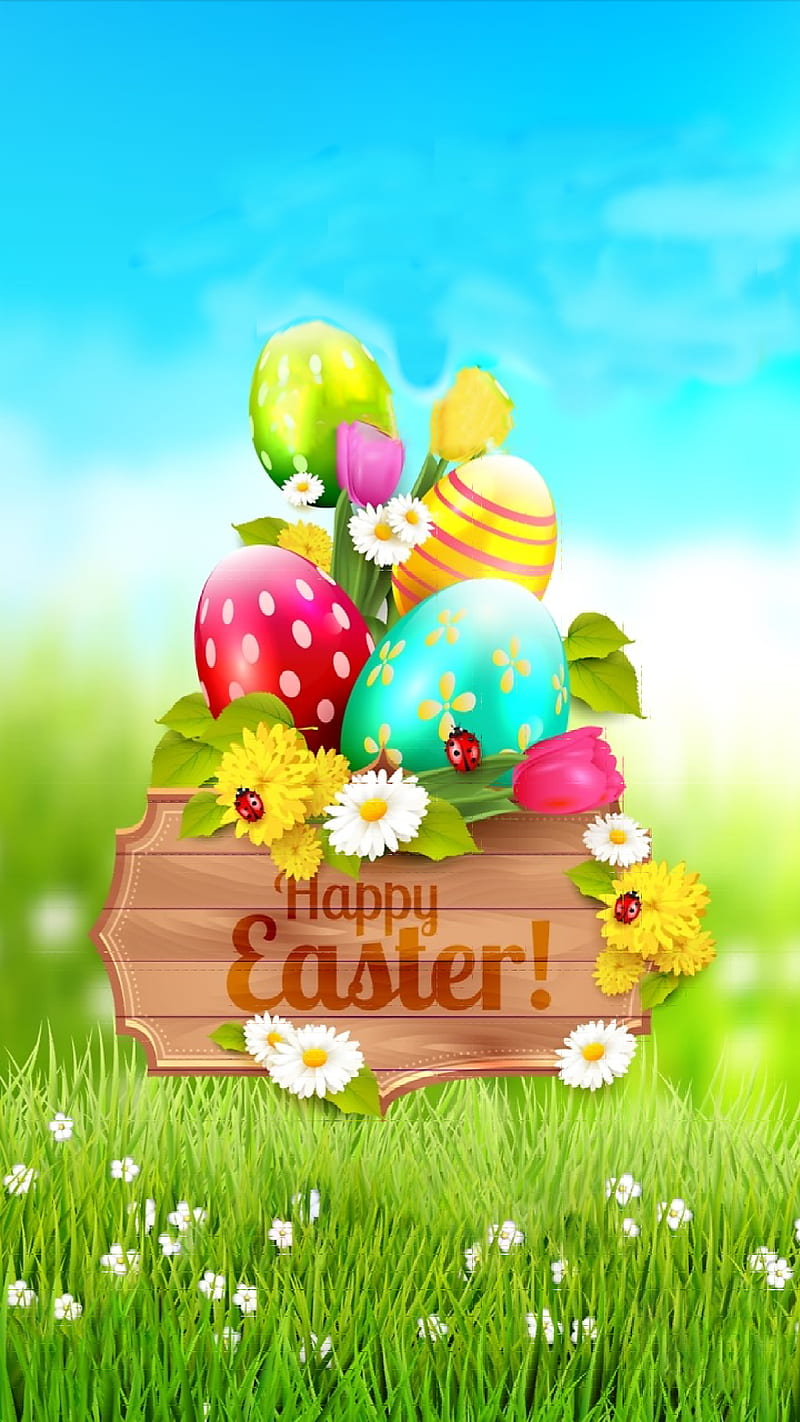 340 Best Easter Wallpaper ideas  easter wallpaper easter wallpaper