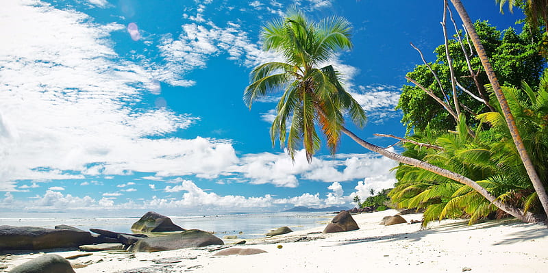Idyllic Beach, Silhouette Island, hills, ocean, bonito, sky, clouds, palm trees, Seychelles, paradise, summer, white sands, tropical, HD wallpaper