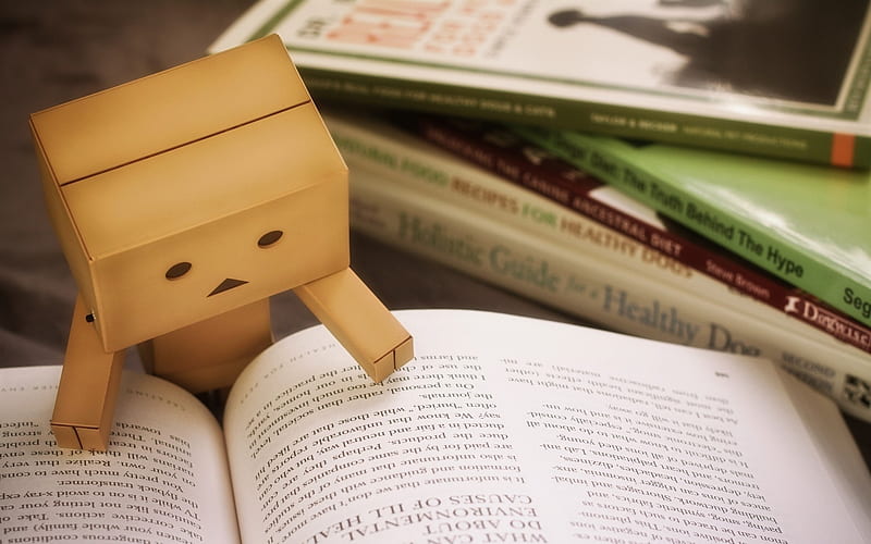 Danbo, book, cardboard robot, funny characters, HD wallpaper