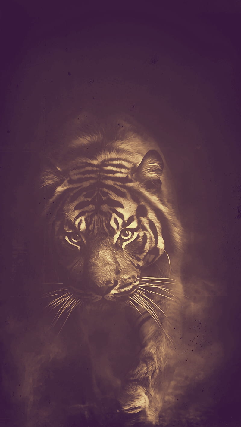 Beast, animal, attack, beaty, fast, nature, saw, tiger, HD phone wallpaper  | Peakpx