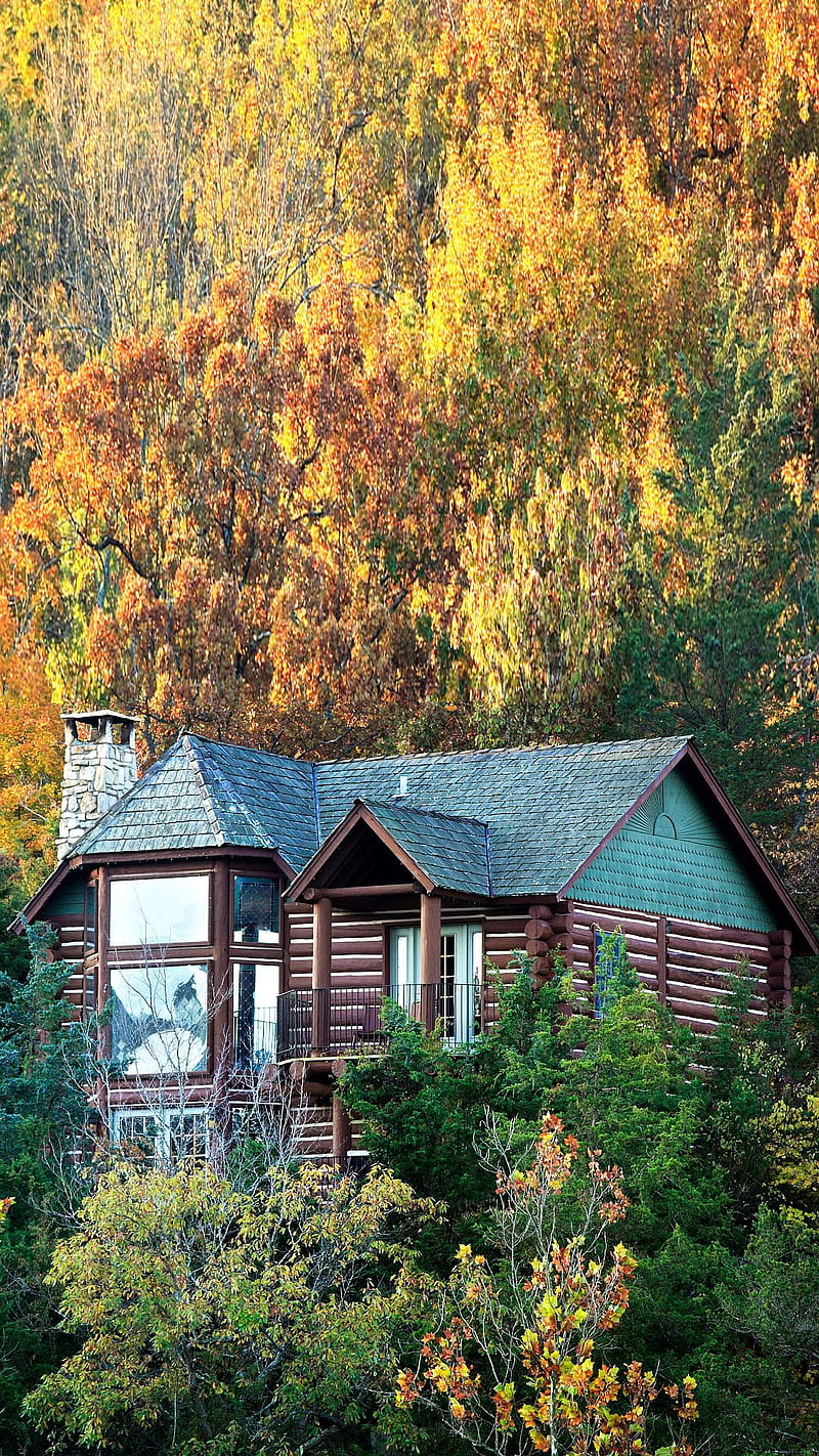 Log Cabin, autumn, fall, mountainside, HD phone wallpaper
