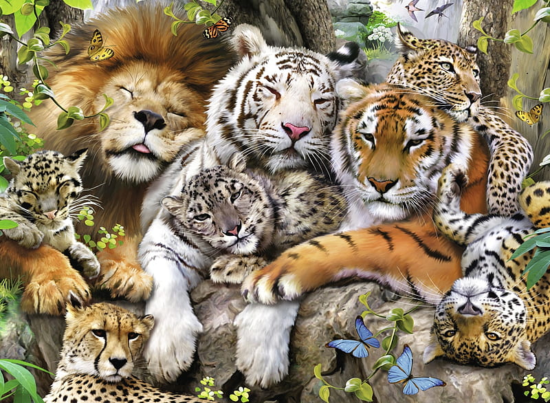 Wild iWallpaper  Wild animal wallpaper Cheetah wallpaper Big cats art