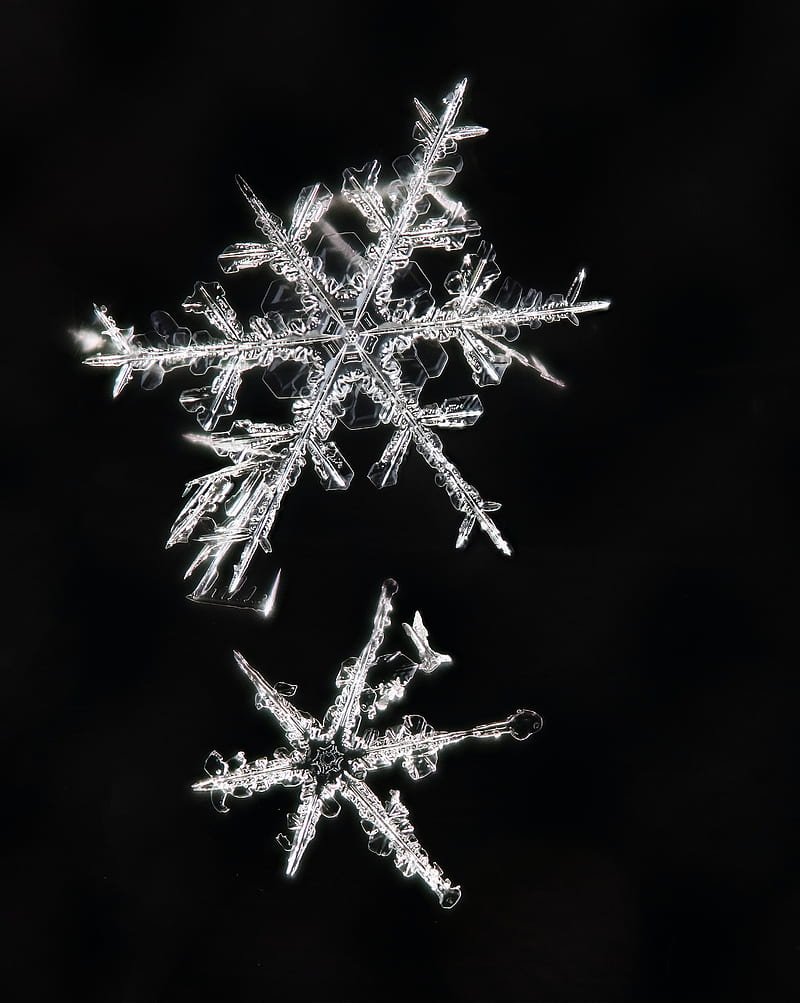 snowflakes, macro, ice, pattern, crystal, HD phone wallpaper