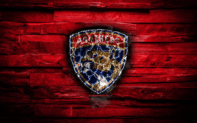 Florida Panthers, fiery logo, NHL, red wooden background, american hockey team, grunge, Eastern Conference, hockey, Florida Panthers logo, fire texture, USA, HD wallpaper