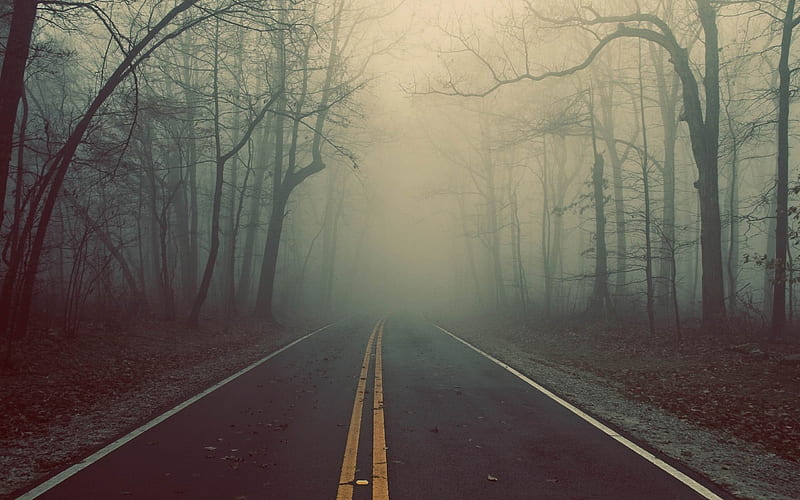 foggy road-autumn landscape, HD wallpaper