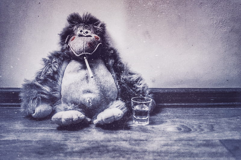 Drunken monkey, friday, monkey, HD wallpaper