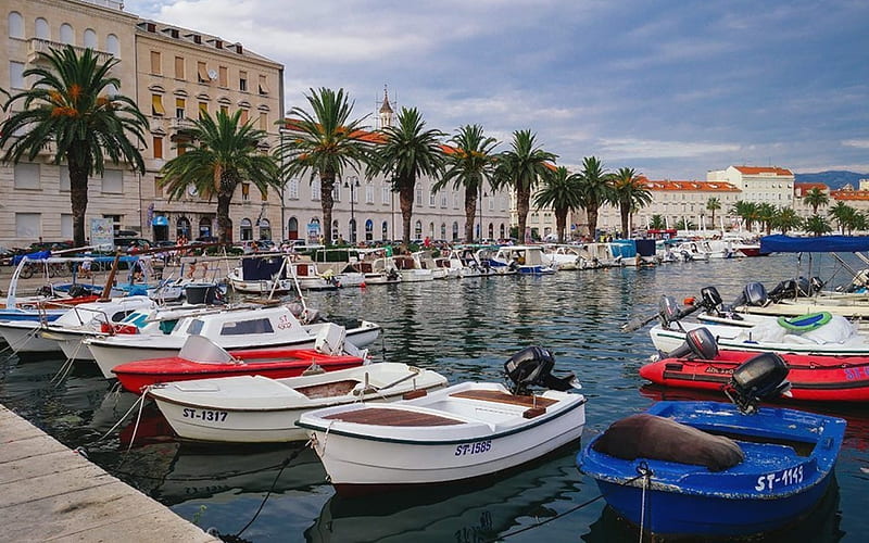 Split Harbor, Croatia, boats, Split, Croatia, street, harbor, palms, HD wallpaper