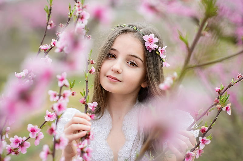 Little girl in spring, girl, flower, child, spring, branch, pink, cherry blossom, sakura, copil, primavara, HD wallpaper
