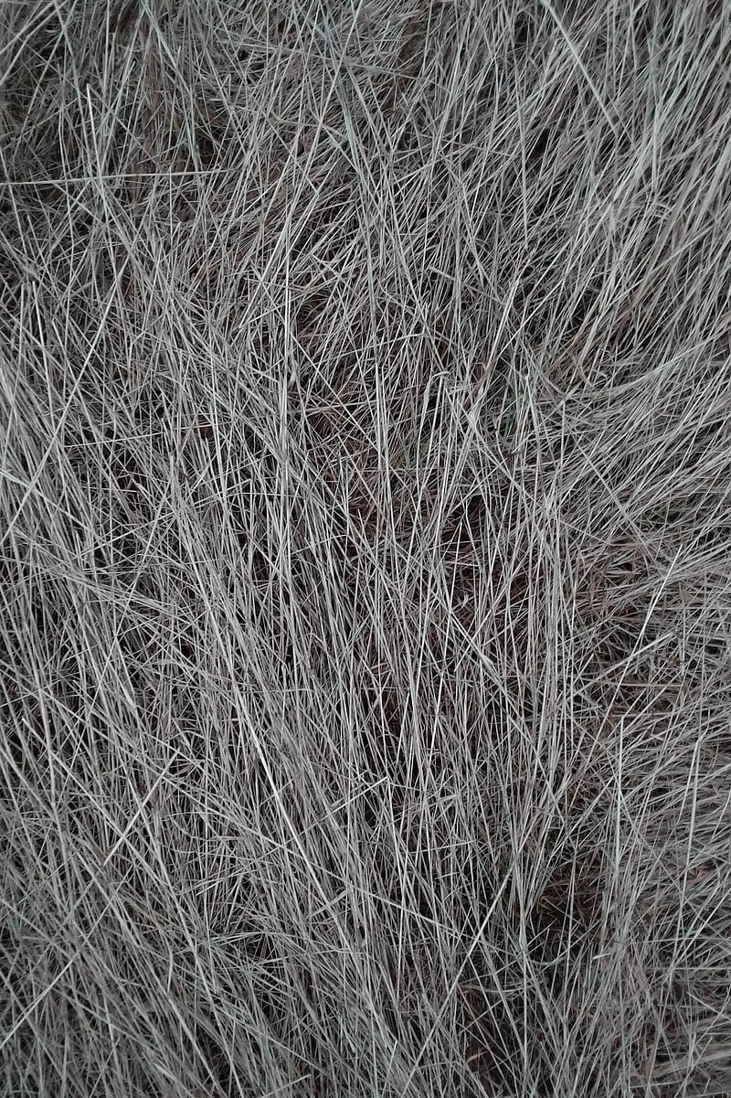 Lines, grass, gris, hay, HD phone wallpaper