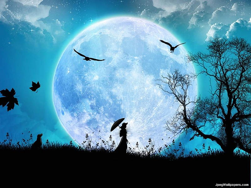 Full Moon, moon, bright, birds, clouds, night, HD wallpaper