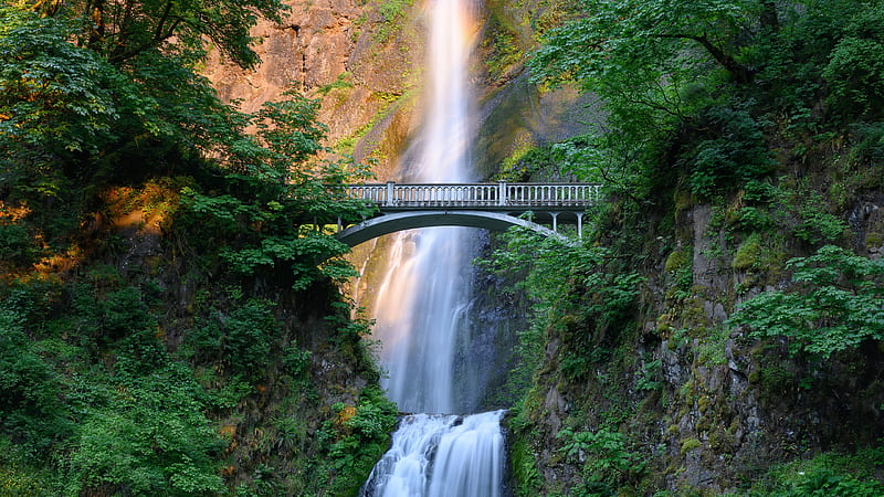 Multnomah Waterfalls Between Rocks And Bridge Around Green Trees Nature, HD wallpaper