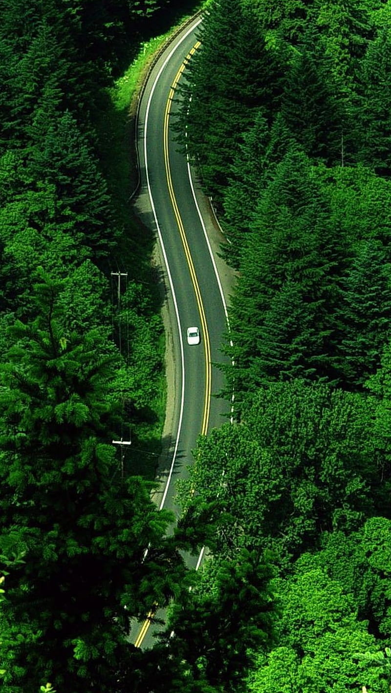Road Top View, car, nature, HD phone wallpaper