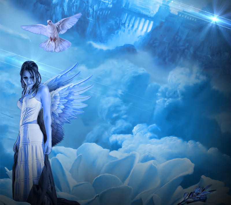 Heaven, angel, bonito, blue, clouds, dove, girl, light, HD wallpaper