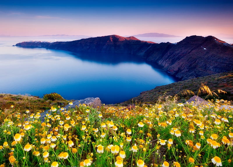 Beautiful island view, rocks, view, bonito, camomile, sky, lake, Santorini, flowers, island, reflection, HD wallpaper