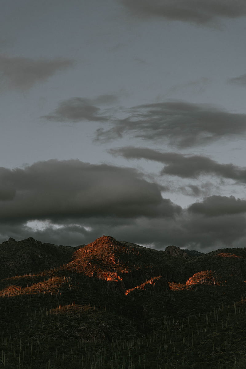 mountains, peaks, cacti, cloudy, HD phone wallpaper