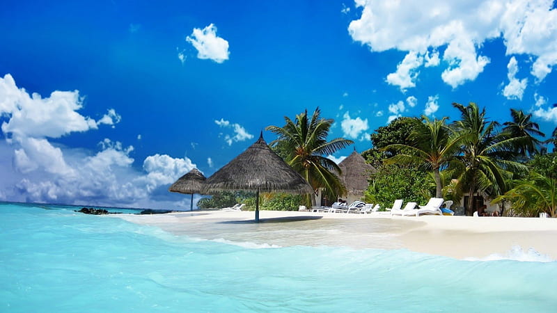 Beach Paradise, beach, tree, clouds, blue, HD wallpaper