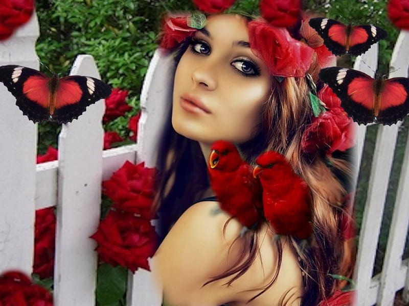Rose Fantasy Girl, fence, red, brown, bushes, floral, fantasy, green, picket fence, flowers, birds, black, butterflies, roses, girl, picket, peach, white, HD wallpaper