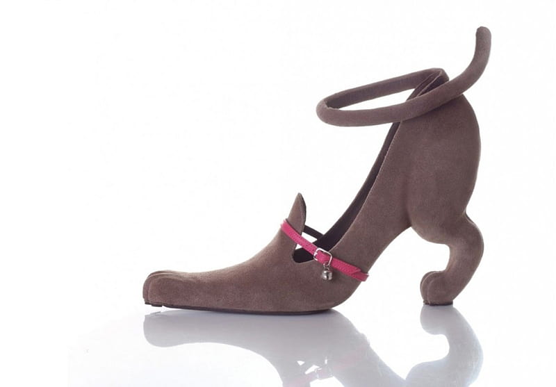 Dog shoe, footwear, heel, shoe, fun, funny, dog, HD wallpaper
