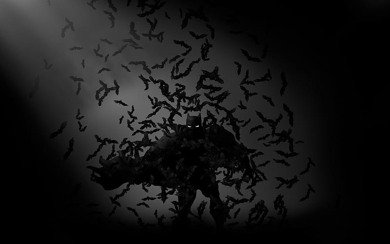 Batman superheroes, Bats, darkness, HD wallpaper