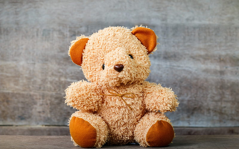 little teddy bear, cute toys, gift, brown bear cub, gray background, HD wallpaper