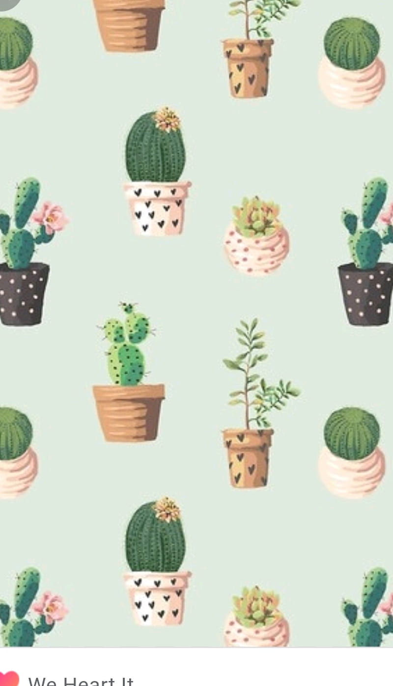 Cactus Phone Wallpaper on Behance