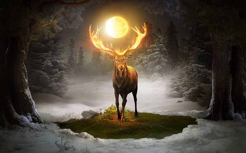 Moonlit Deer in Winter, antlers, forest, ethereal, trees, winter, moon, Deer, moonlight, Snow, Glowing, HD wallpaper