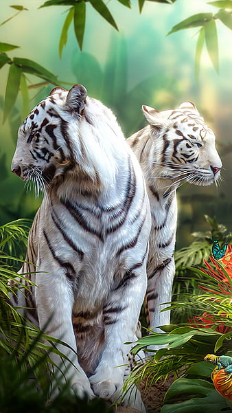 Tigre Branco 3D wallpaper #fondodepantalla #3dwallpaper #4klivewallpa