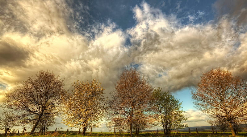 lovely clouds over trees in autumn r, fence, autumn, fields, r, trees, clouds, sky, HD wallpaper