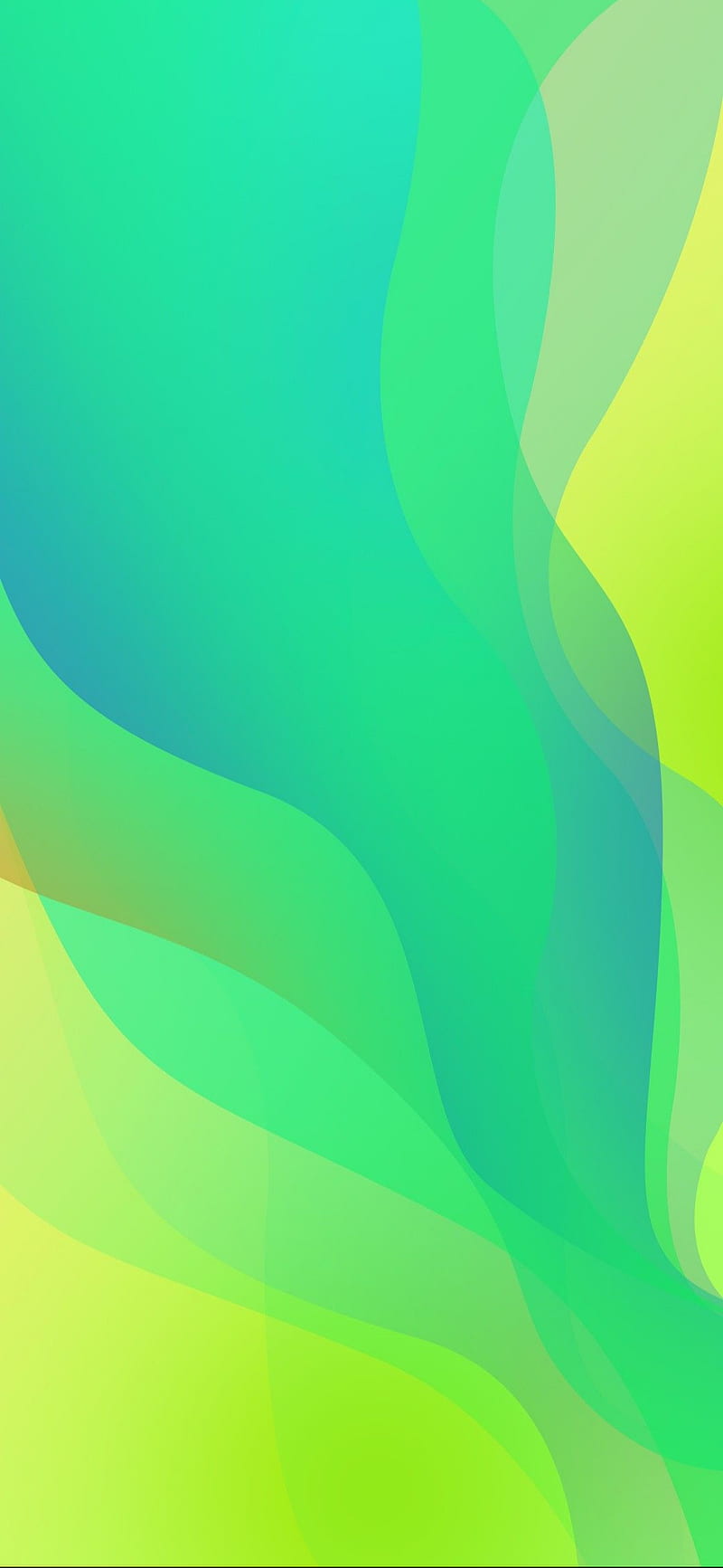 Oppo green, green, oppo, HD phone wallpaper