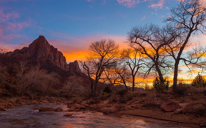 National Park, Zion National Park, Mountain, Nature, Rock, Sky, Sunset, Tree, USA, Water, HD wallpaper