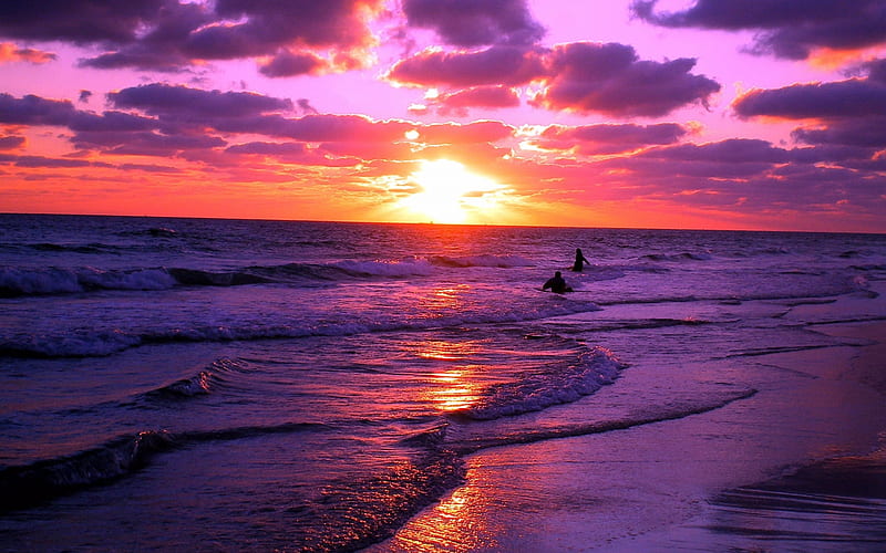 Sunset beach, Shore, Sunset, Sea, Water, Purple, beach, HD wallpaper
