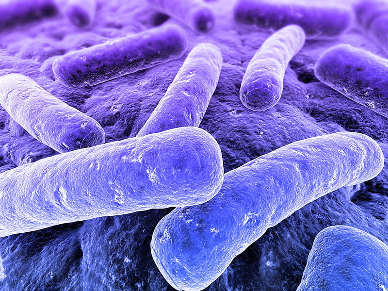 Bacterias, micro, fungus, abstract, virus, blue, bacteria, HD wallpaper