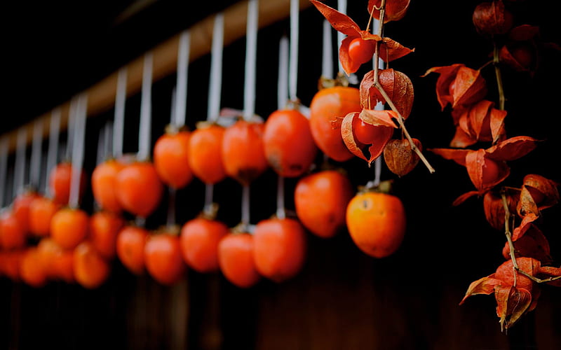 dried persimmons tsumago-Japan Landscape, HD wallpaper