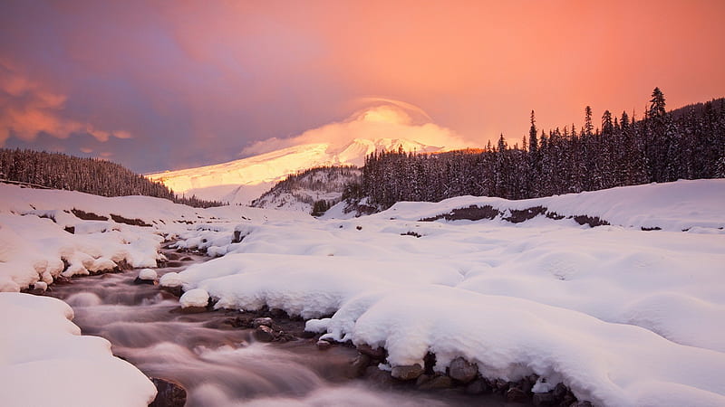 Lovely mountain stream in winter, mountain, stream, forest, winter, HD ...