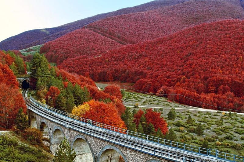 Fall-in-Abruzzo, red, bonito, trees, HD wallpaper