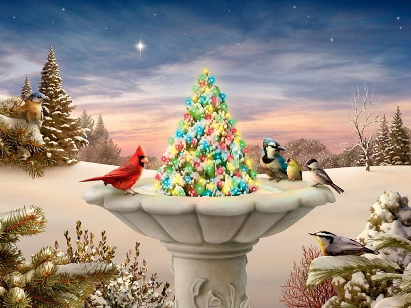Christmas Birdbath, Trees, birdbath, christmas, snow, birds, Lights, Nature, Winter, HD wallpaper