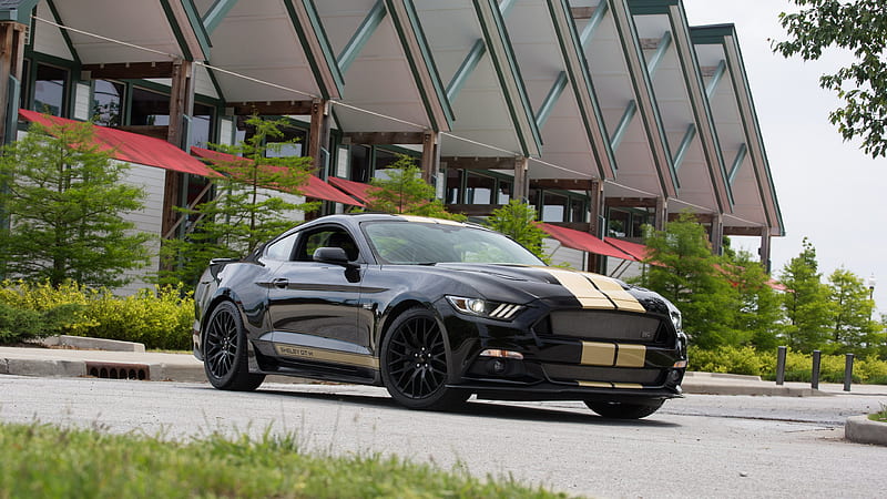 Ford Shelby GT-H 2016 cars, tuning, supercars, HD wallpaper
