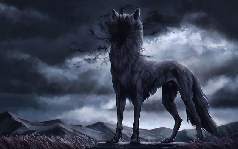 wolf at night predators, fantasy wolf, wildlife, darkness, wolf, HD wallpaper