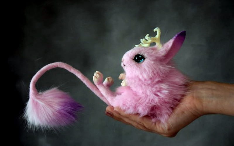 Magic Jerboa, Cute, Pink, Fantasy, Pet, Eye, HD wallpaper
