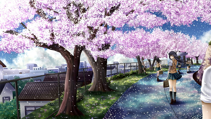 https://w0.peakpx.com/wallpaper/4/371/HD-wallpaper-cherry-blossom-path-house-scenic-sakura-blossom-breeze-bag-floral-cherry-blossom-blossom-anime-path-anime-girl-scenery-long-hair-black-hair-school-uniform-female-view-wind-skirt-building.jpg