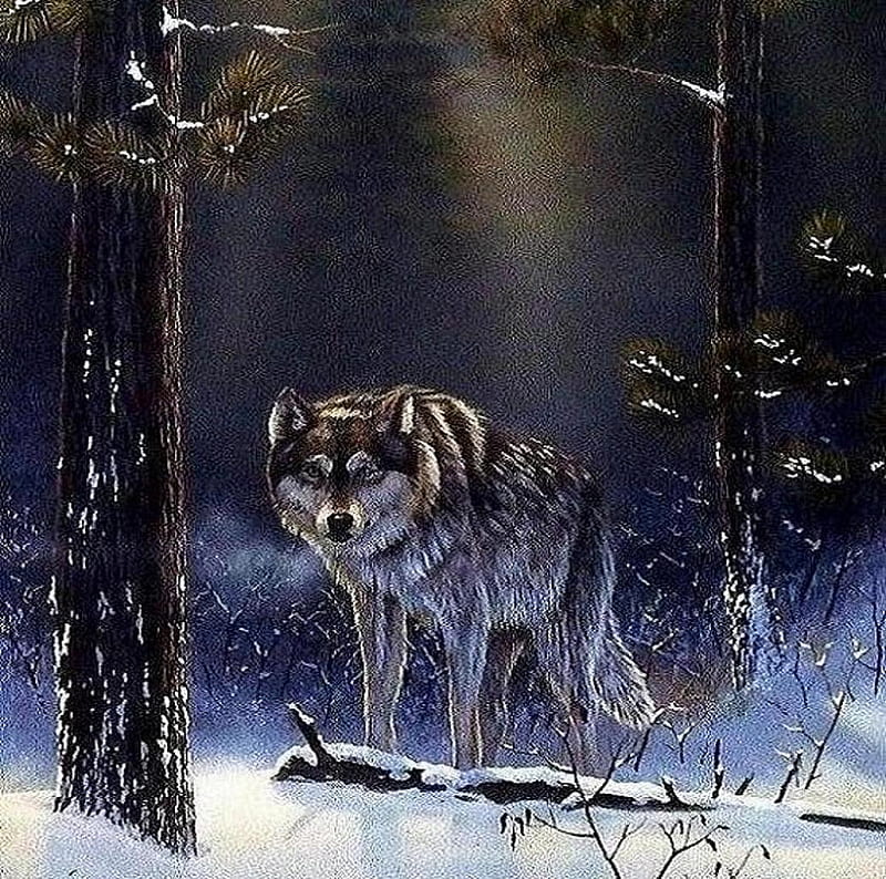 'Lone wolf'......, forest, snow, wolves, animals, winter, HD wallpaper