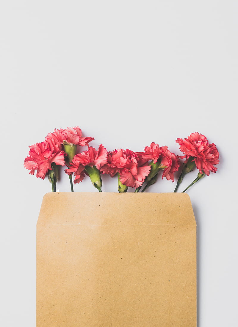 pink roses on brown paper bag, HD phone wallpaper