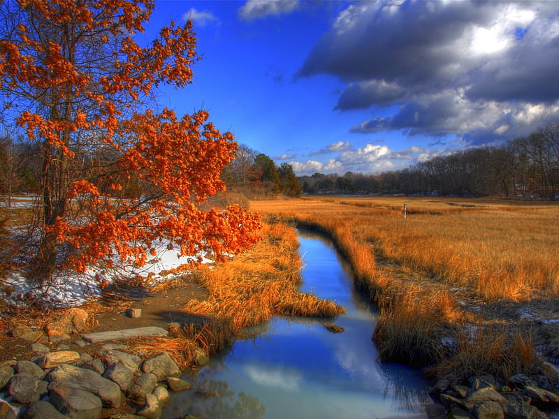 Beautiful Creek, rocks, grass, orange, yellow, clouds, nice, stones, mounts, creeks, peaks, forests, current, rivers, sky, trees, pines, lagoons, water, cool, mountains, awesome, white, brown, gray, bonito, grasslands, leaves, green, blue, amazing, lakes, foam, spring, leaf, plants, nature, reflected, branches, reflections, HD wallpaper